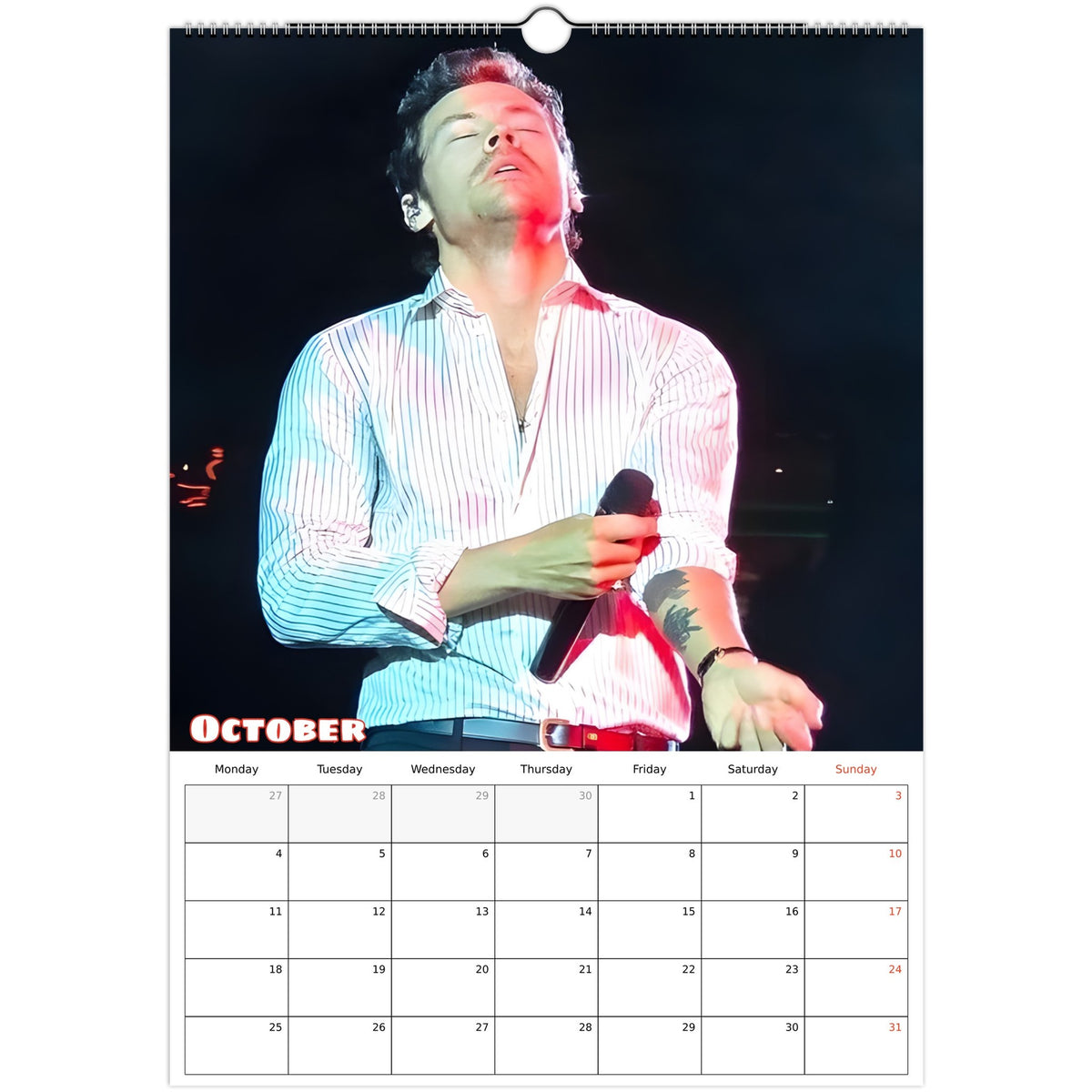 Harry Styles Calendar 2027 October photo