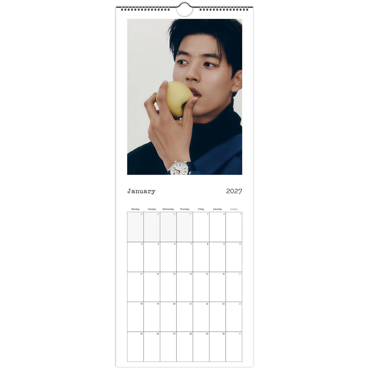 January 2027 page in Park Solomon Lomon slim wall calendar