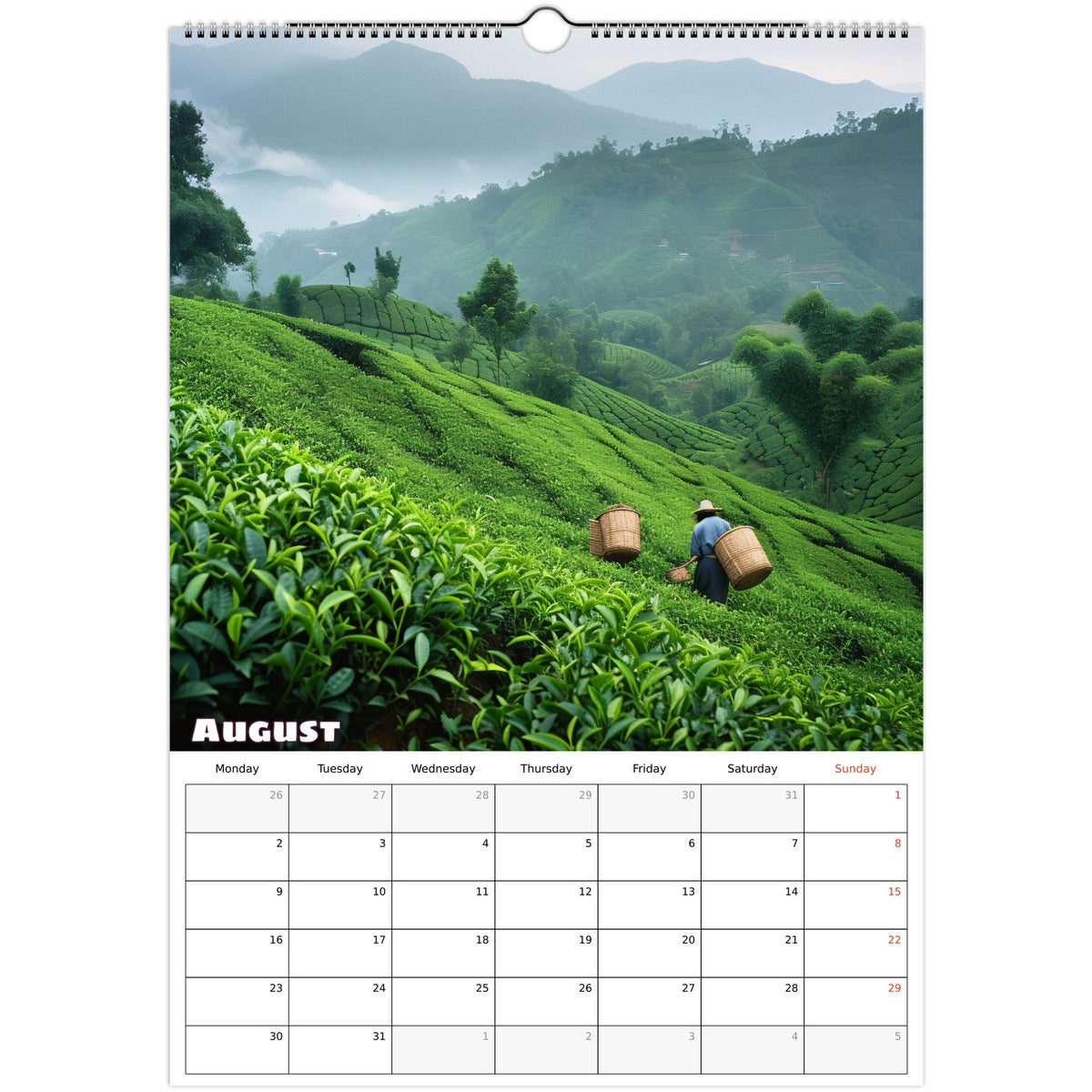 Tea Lovers Calendar 2027 August photo