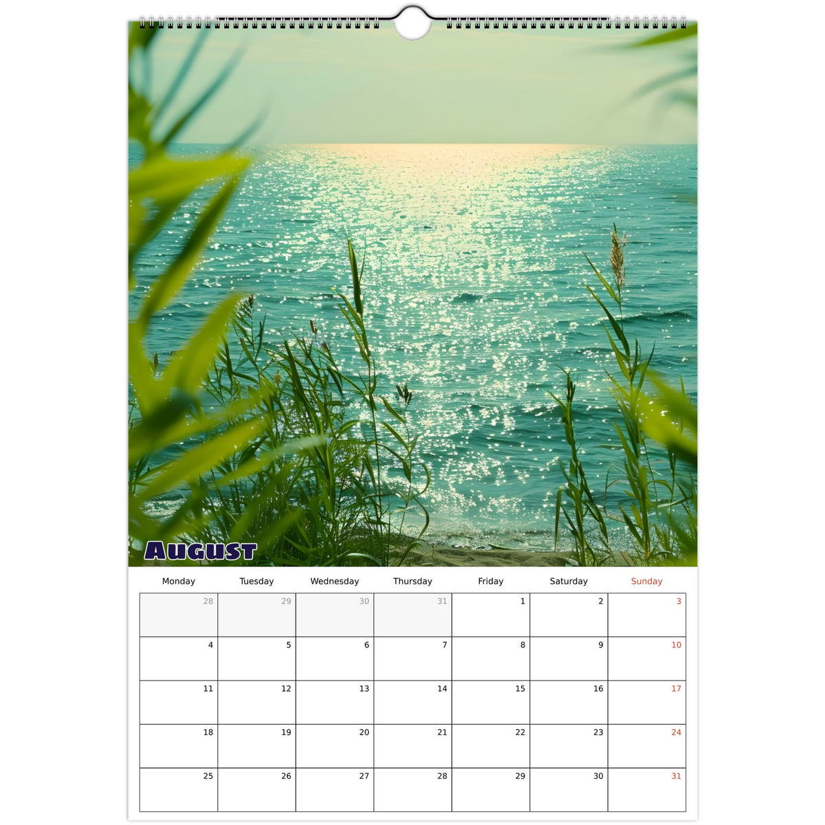 August nature scene 