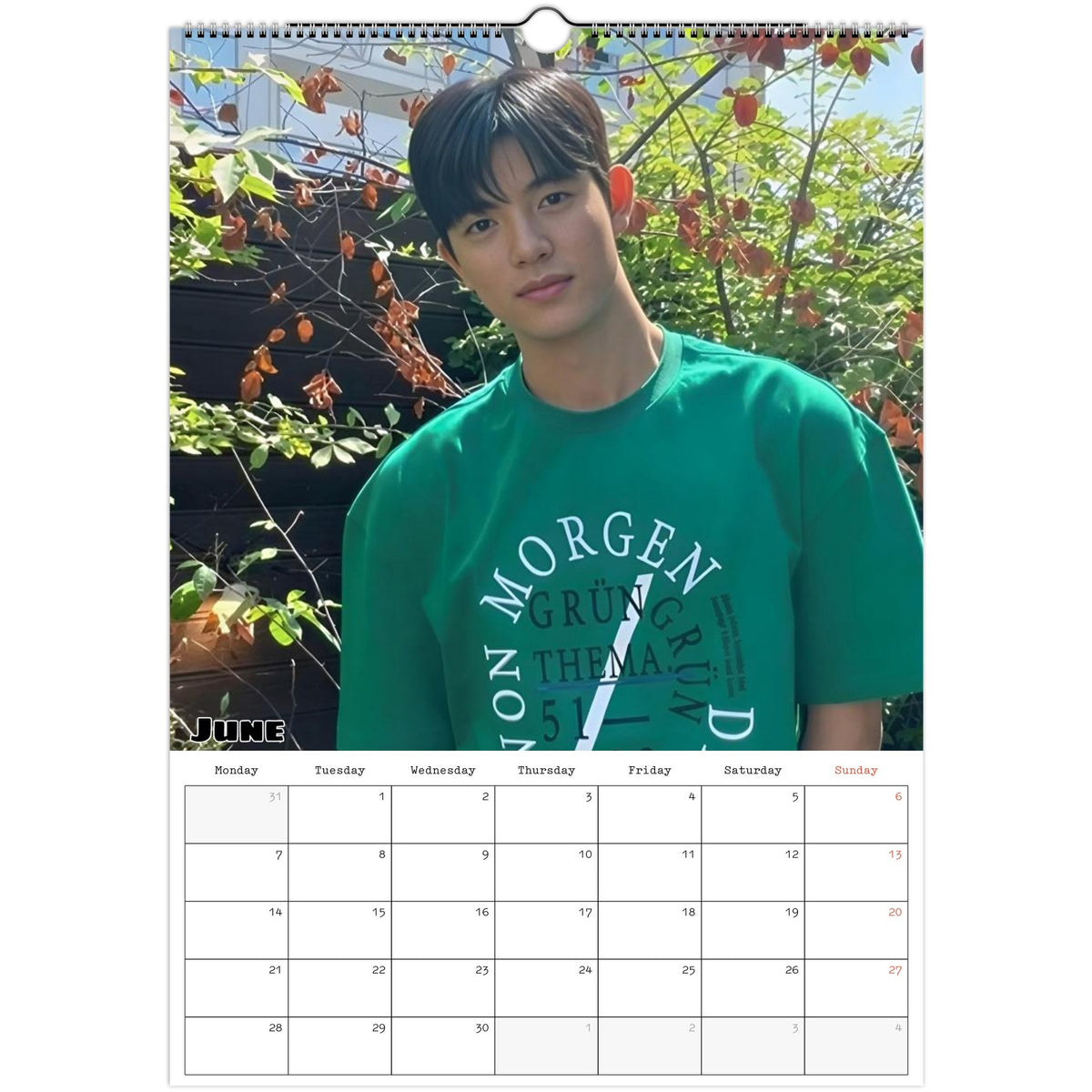 June 2027 page in Park Solomon Lomon A3 wall calendar