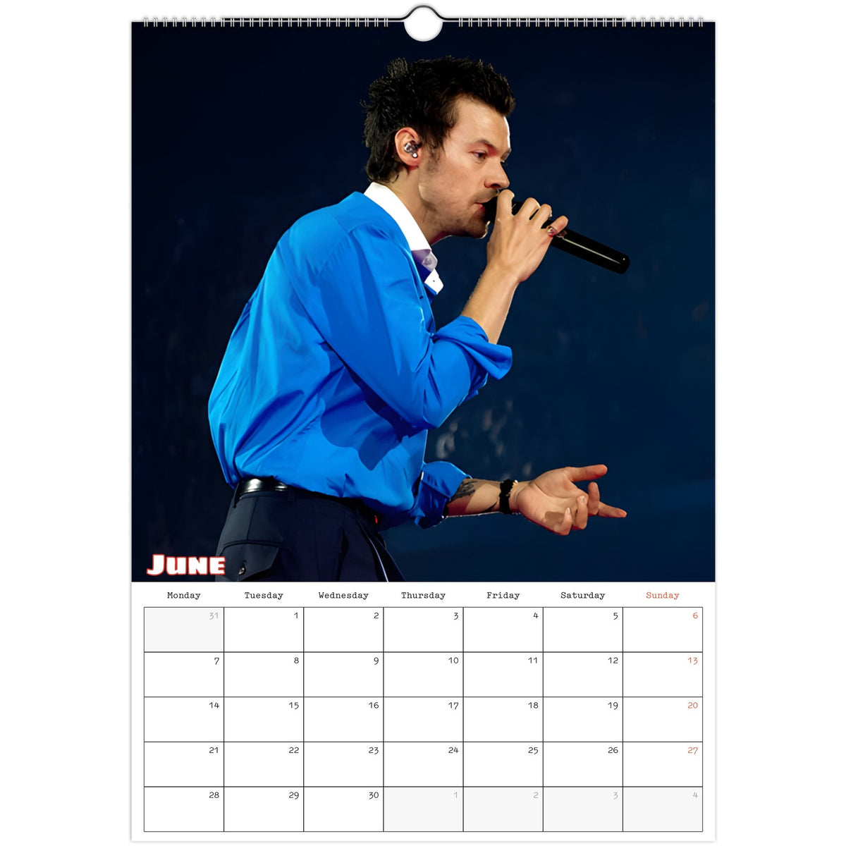 Harry Styles Calendar 2027 June photo