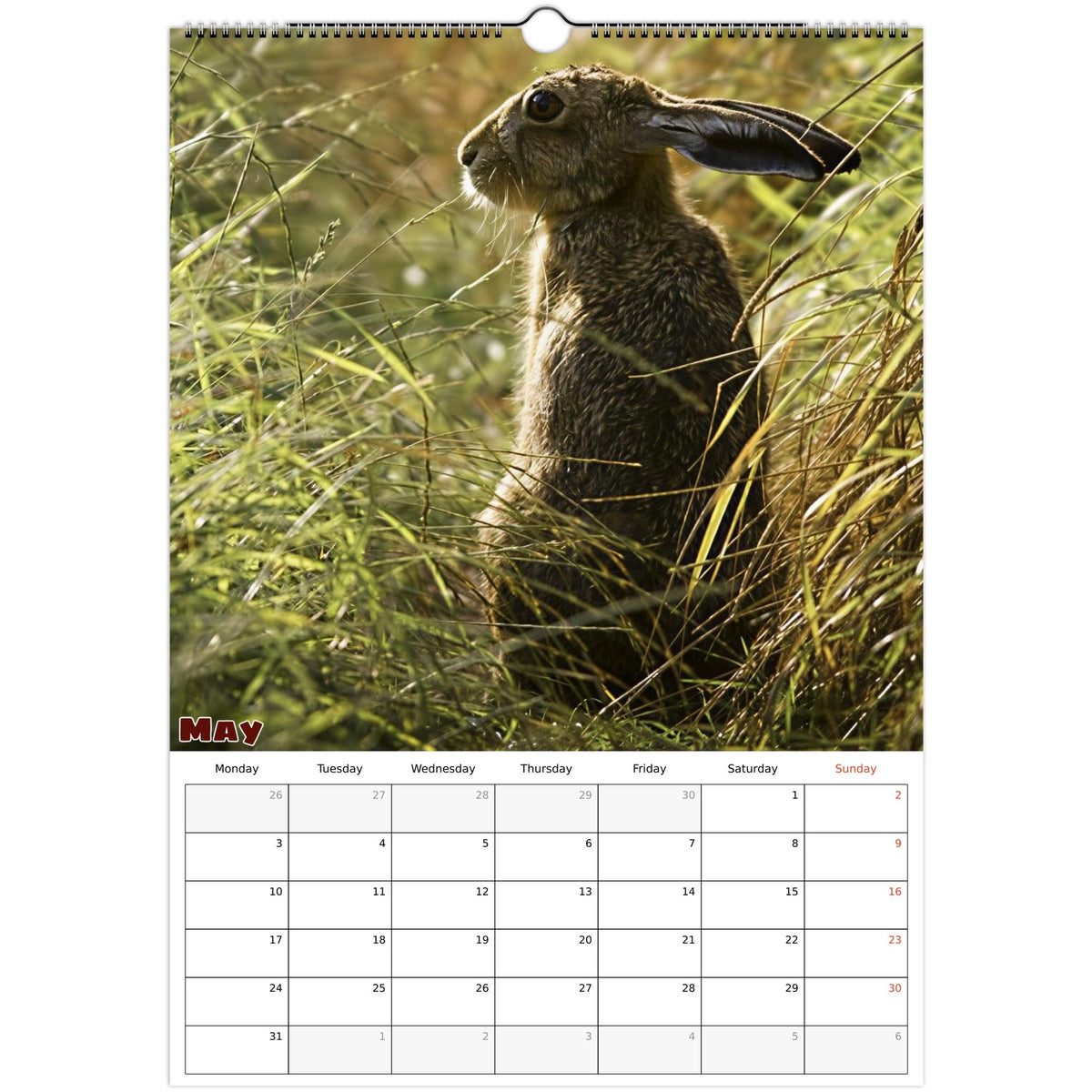 May 2027 page in Farm Life A3 wall calendar