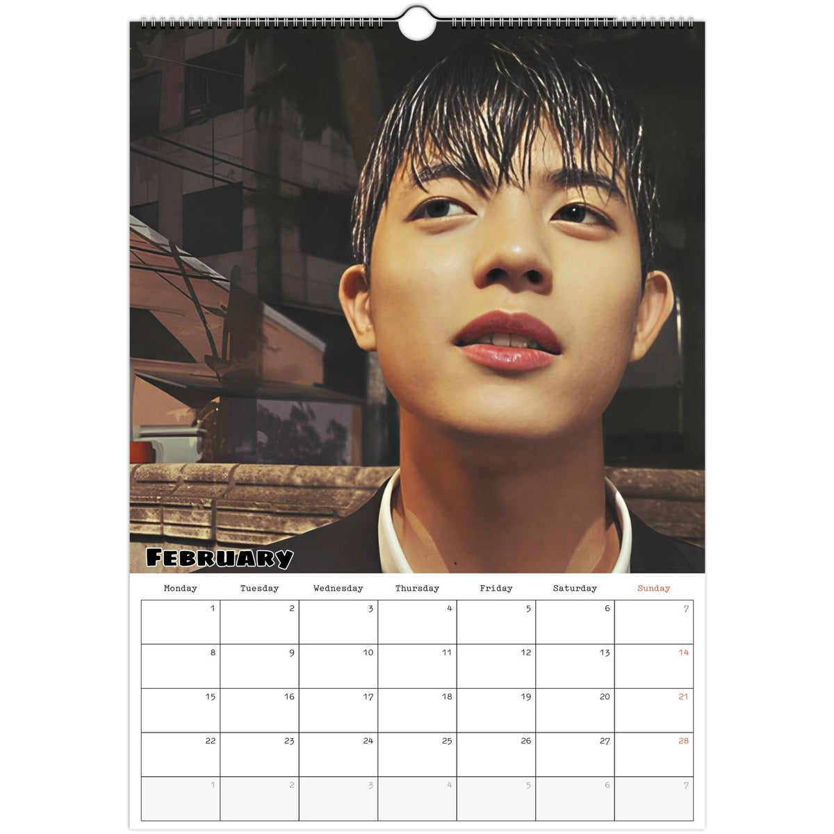 February 2027 page in Park Solomon Lomon A3 wall calendar