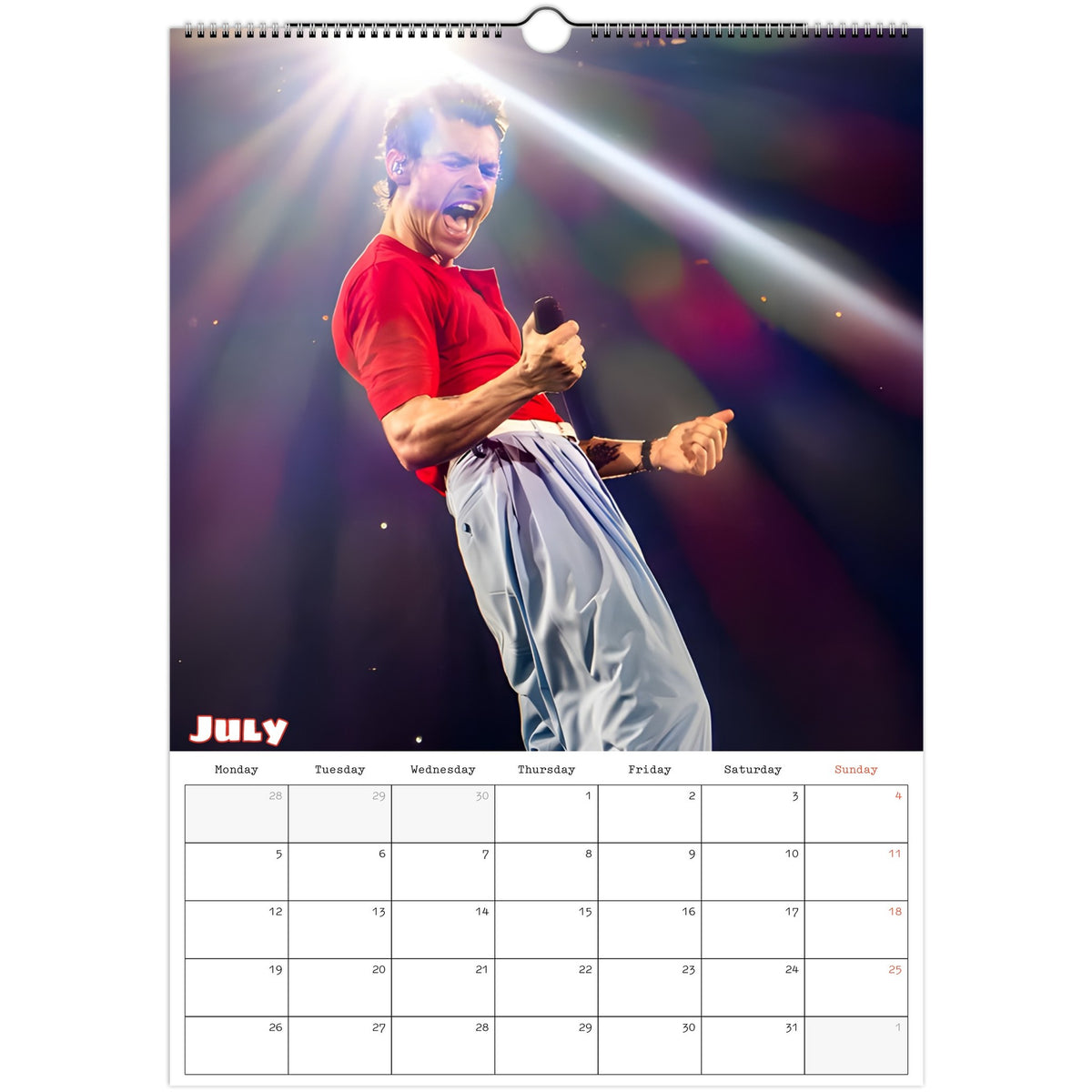 Harry Styles Calendar 2027 July photo