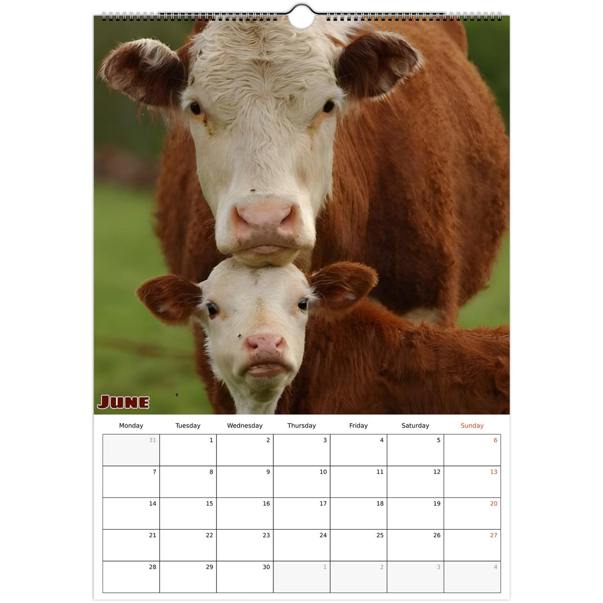 June 2027 page in Farm Life A3 wall calendar