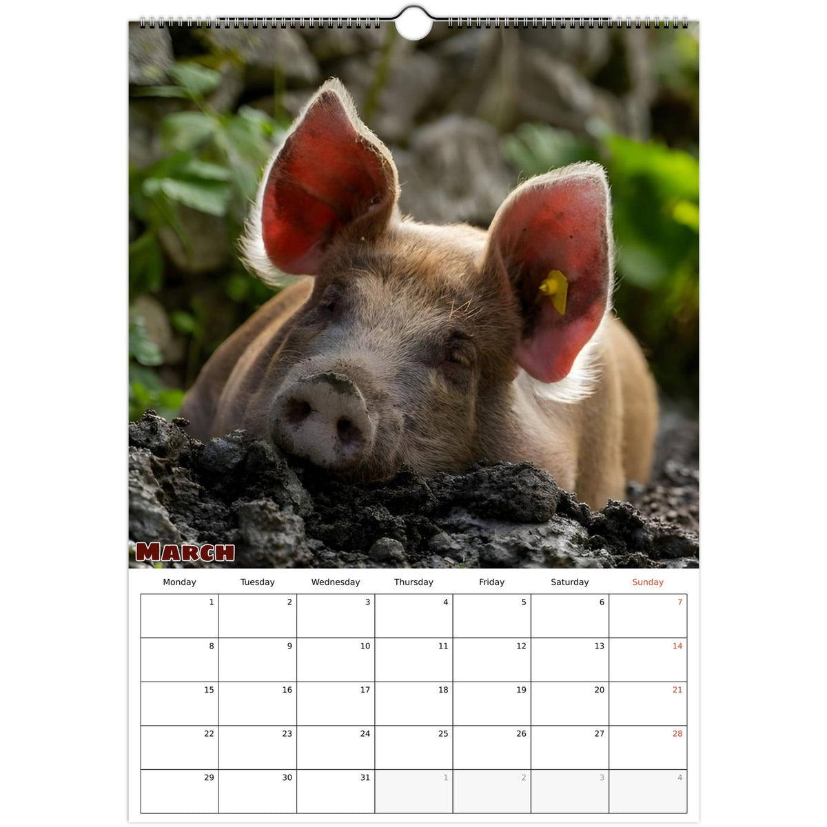 March 2027 page in Farm Life A3 wall calendar