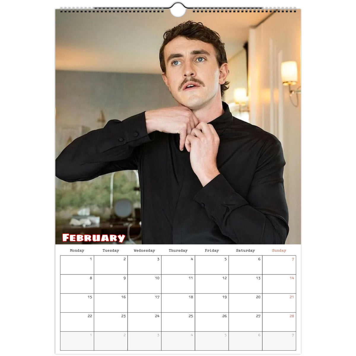 February 2027 page in Paul Mescal A3 wall calendar
