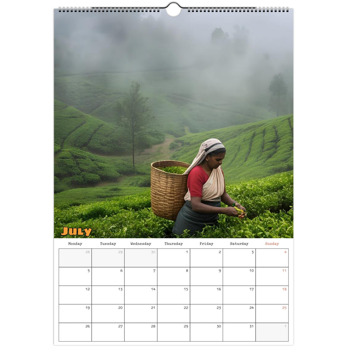 Beautiful India 2027 calendar July page