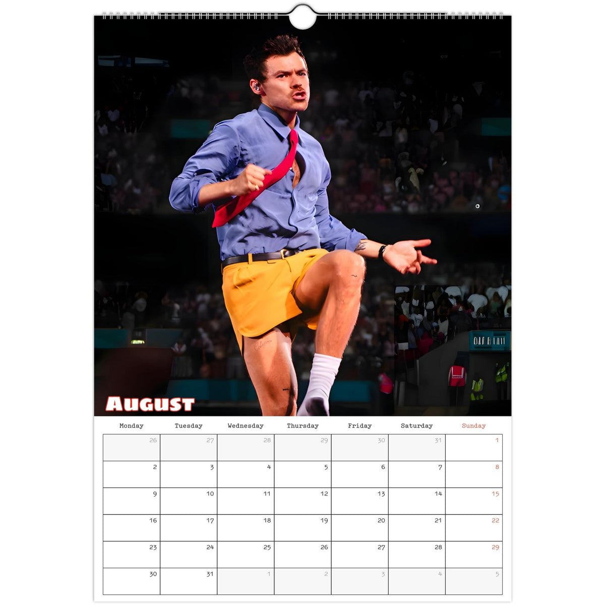 Harry Styles Calendar 2027 August photo