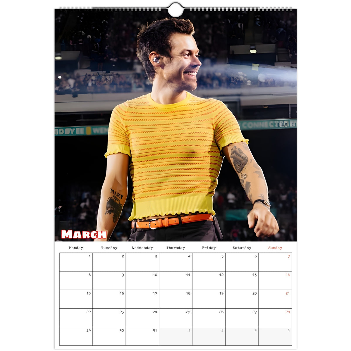 Harry Styles Calendar 2027 March photo