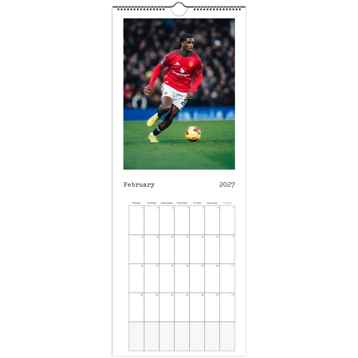 Manchester United February page 