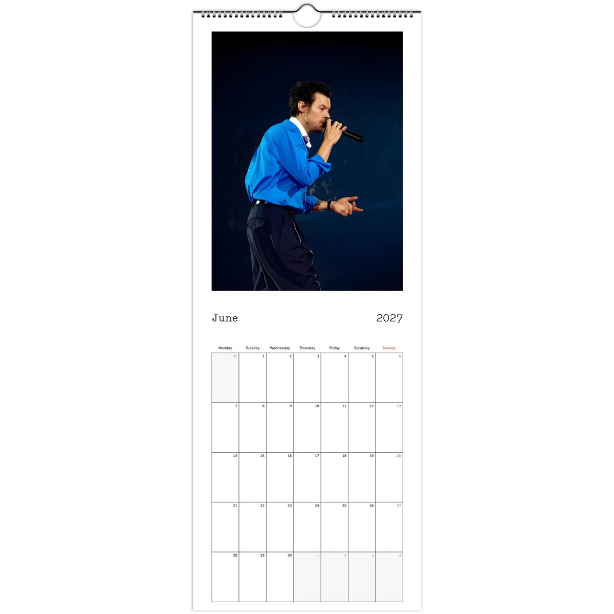 Harry Styles Calendar 2027 June