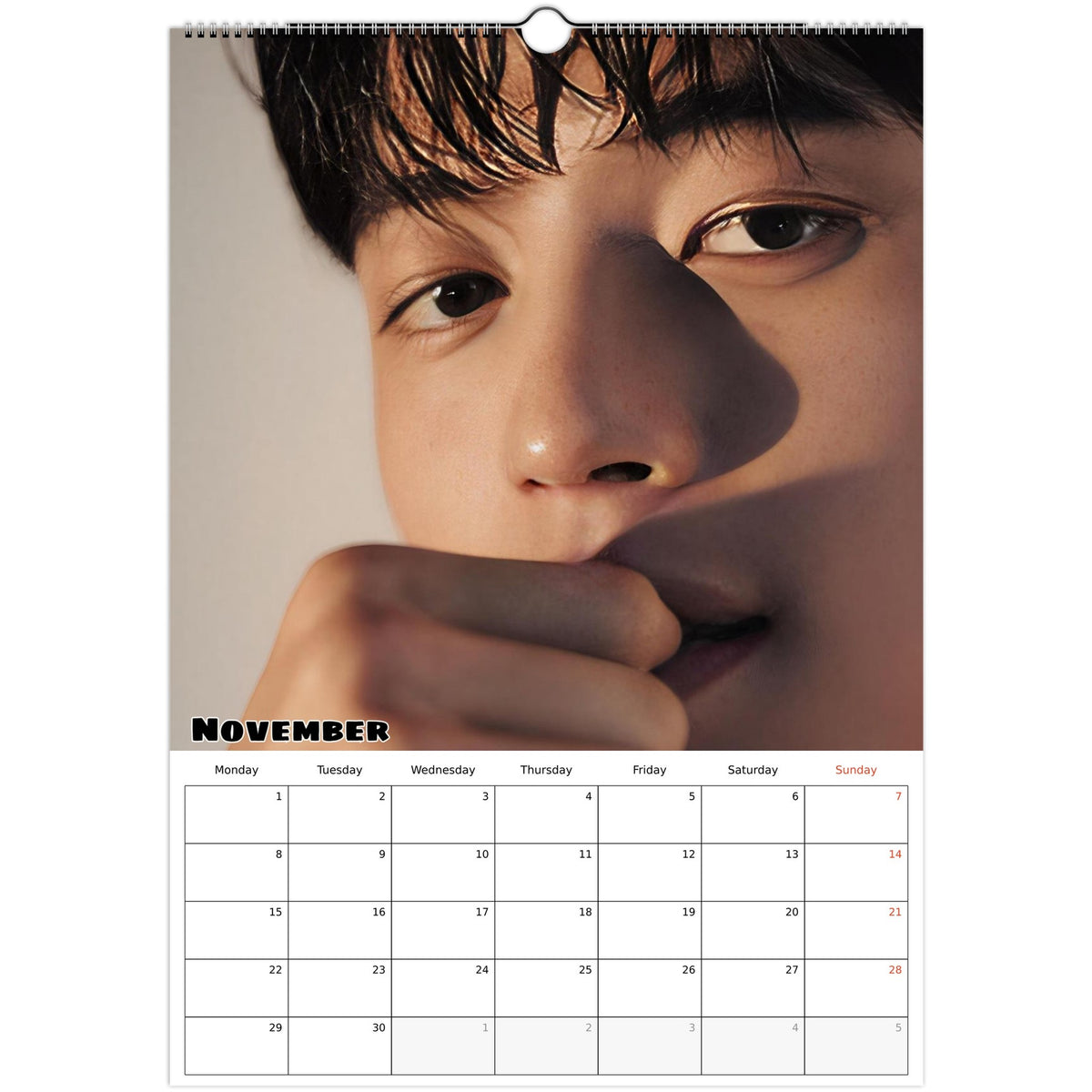 November 2027 page in Park Solomon Lomon A3 wall calendar