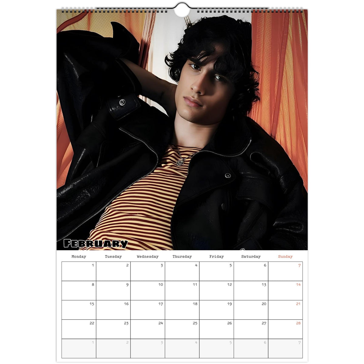 February page of sombr 2027 A3 wall calendar