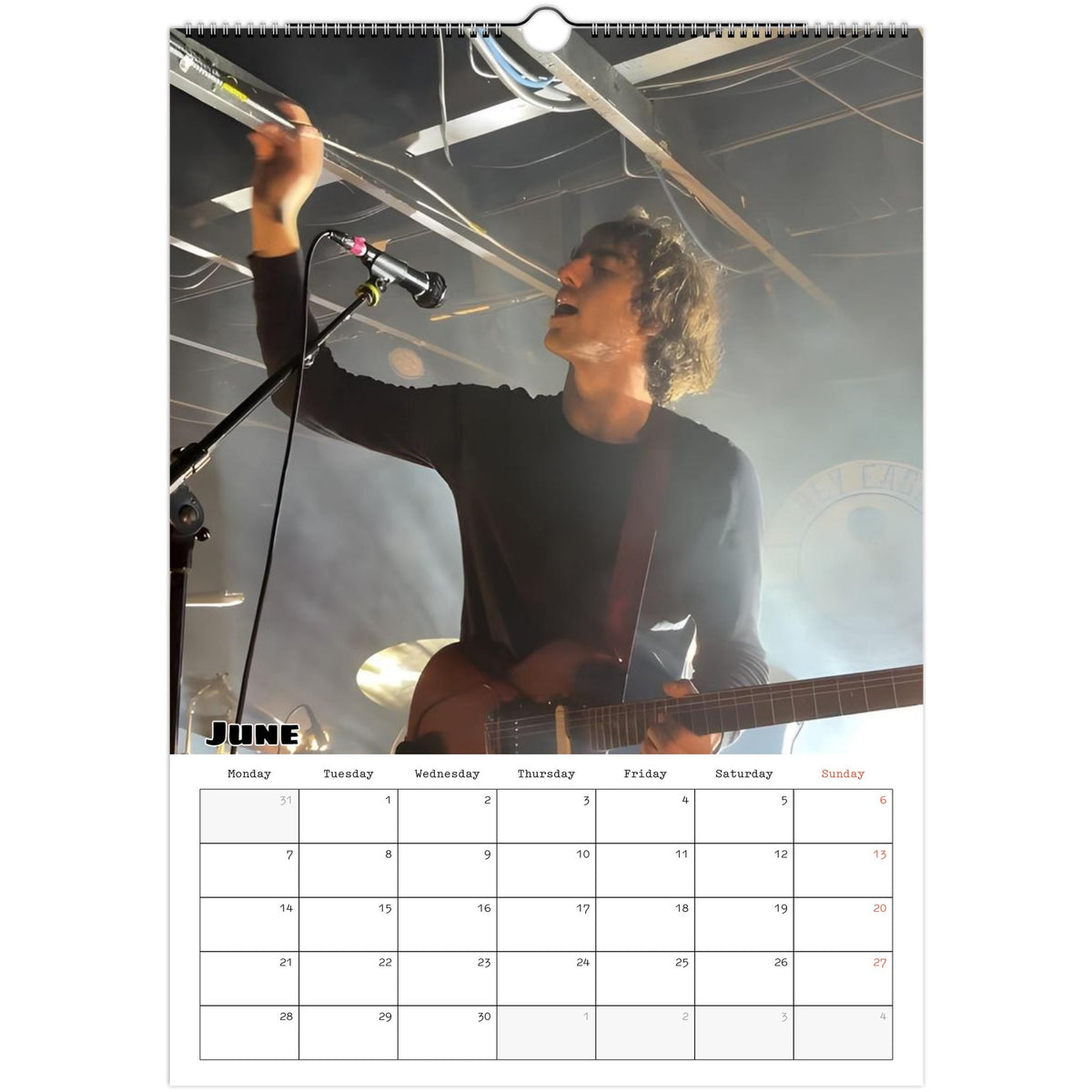 Geese calendar June 