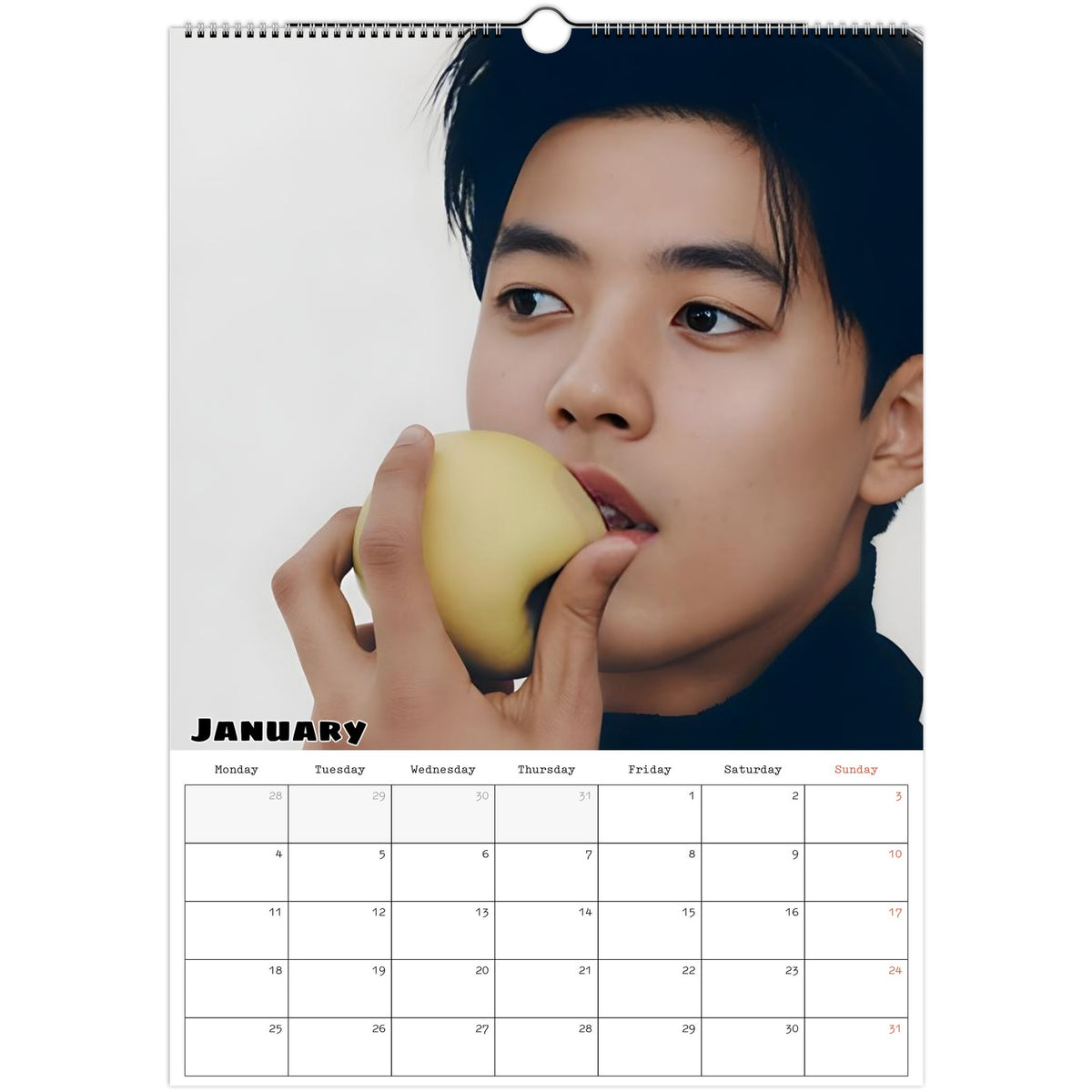 January 2027 page in Park Solomon Lomon A3 wall calendar