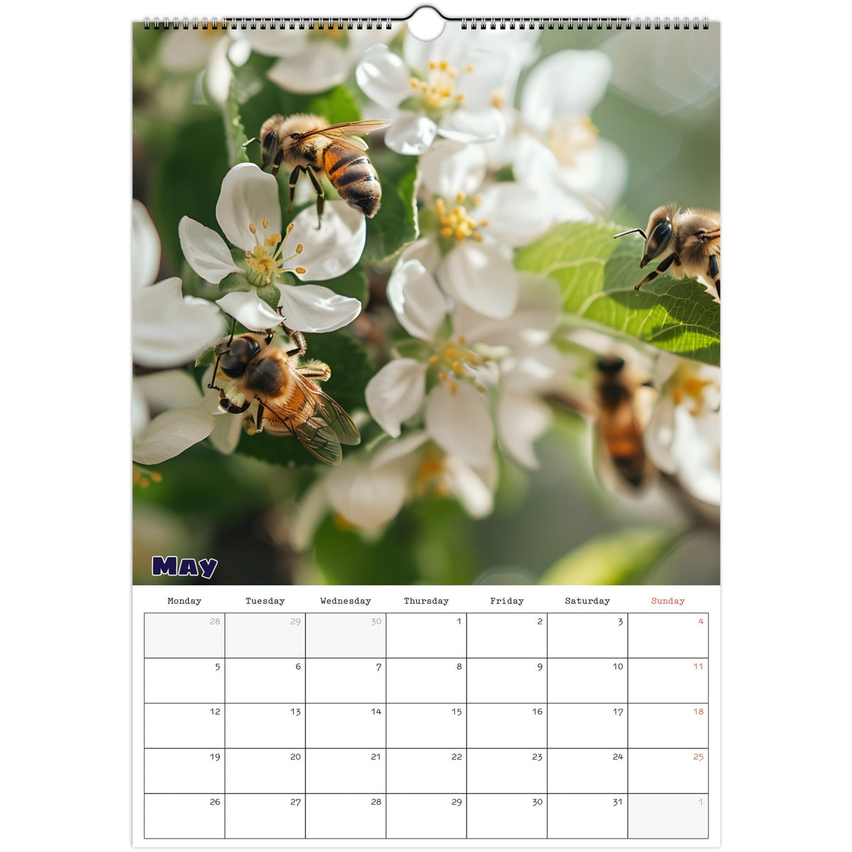 May nature scene 