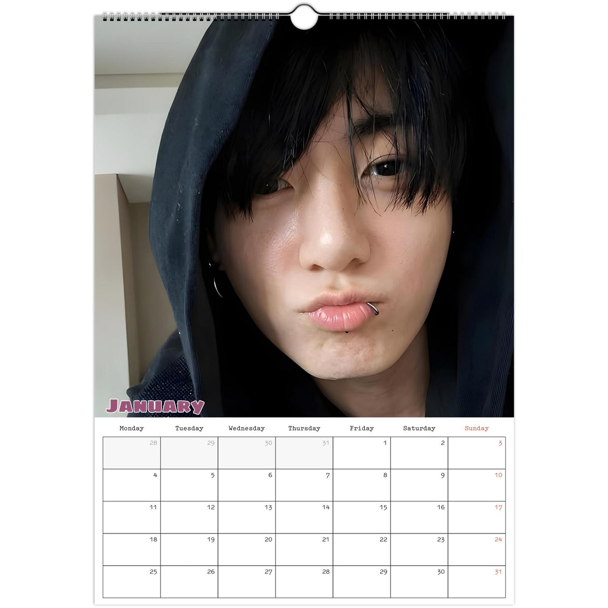 Jungkook Calendar 2027 January photo