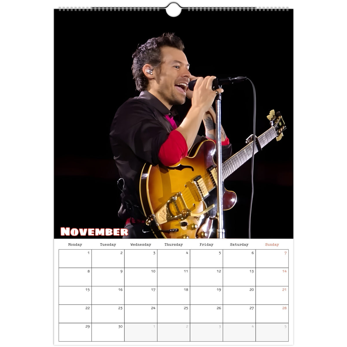 Harry Styles Calendar 2027 November photo
