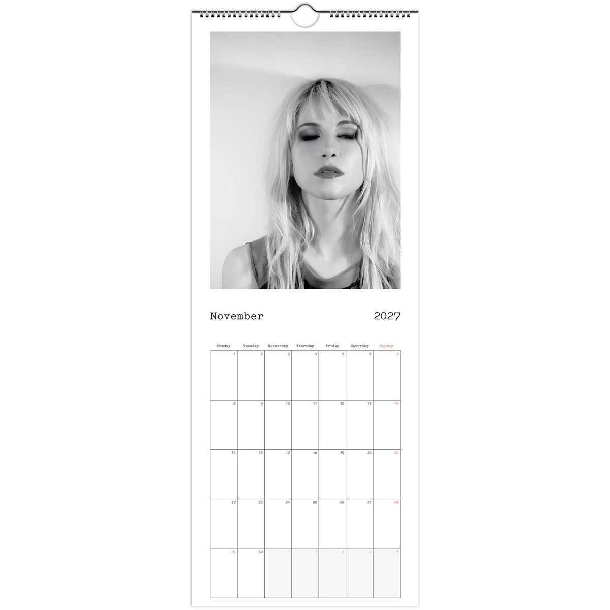 Hayley Williams Calendar November page