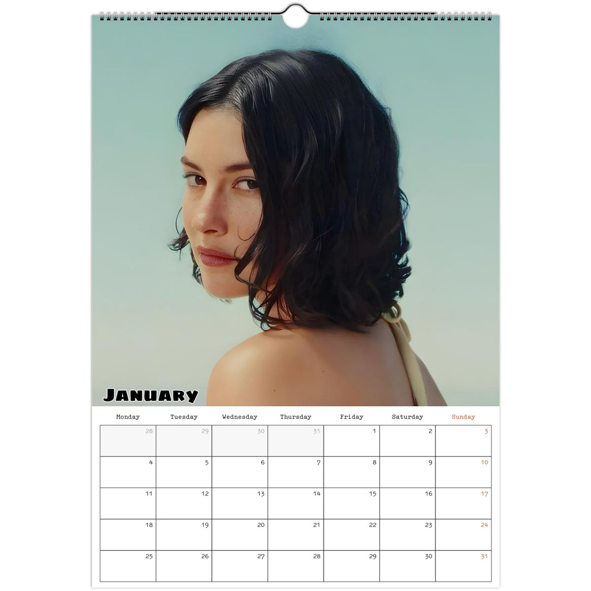 January Gracie Abrams Calendar photo 