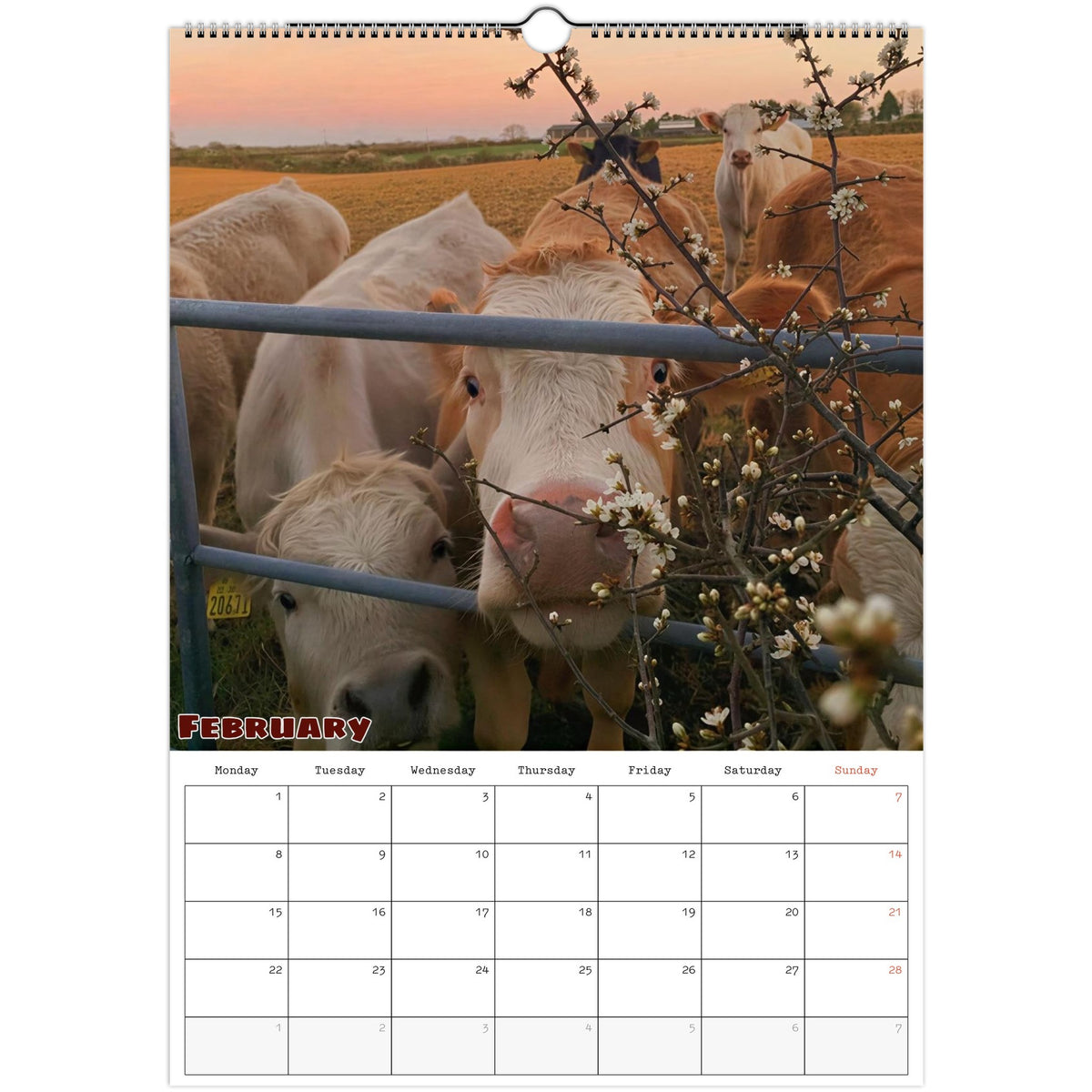 February 2027 page in Farm Life A3 wall calendar