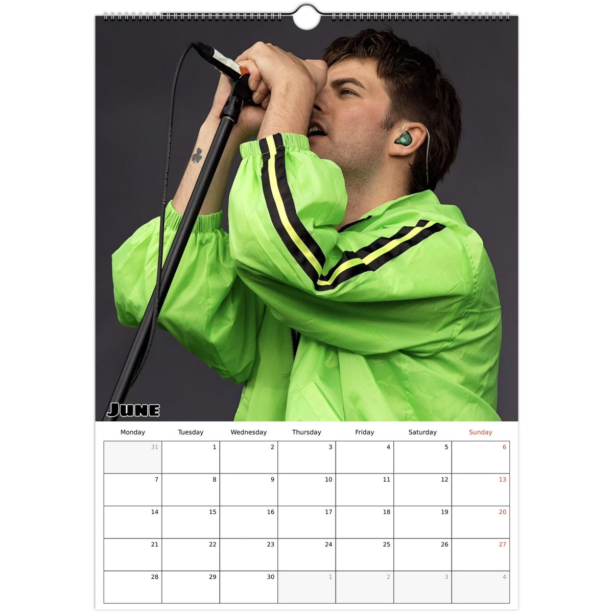 FONTAINES D.C. calendar June photo