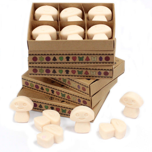 Box of six Vanilla Nutmeg soy wax melts in matchbox packaging