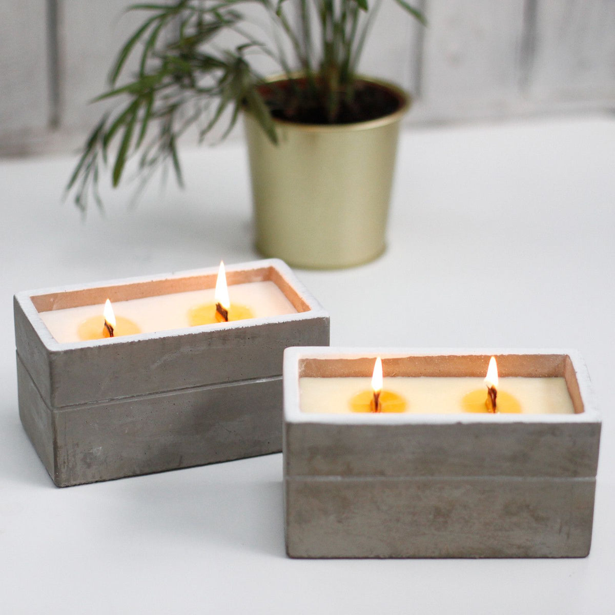 Concrete vessel candle with crackling wick and spiced lime scent