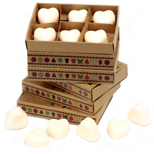 Box of six Cinnamon & Orange soy wax melts in matchbox packaging