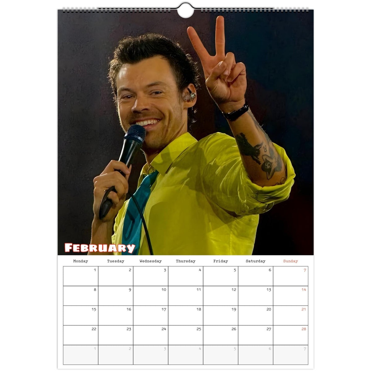 Harry Styles Calendar 2027 February photo