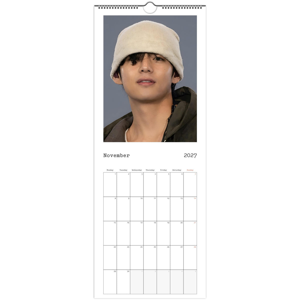 BTS V November ARIRANG Calendar 2027 photo