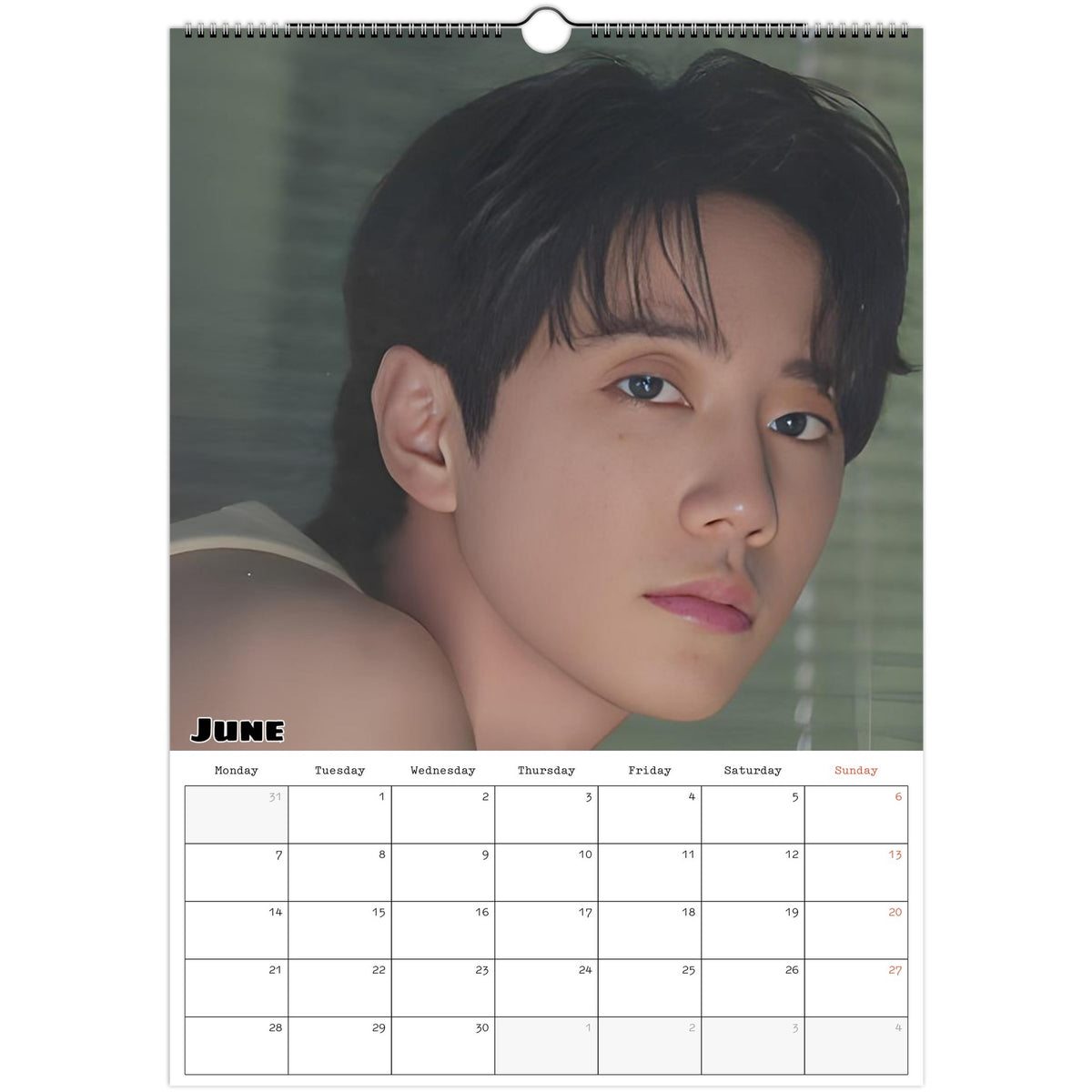 June 2027 page in Lee Jun-young A3 wall calendar