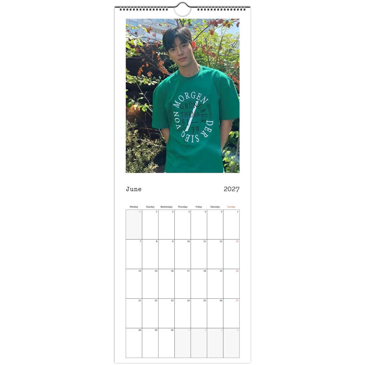 June 2027 page in Park Solomon Lomon slim wall calendar