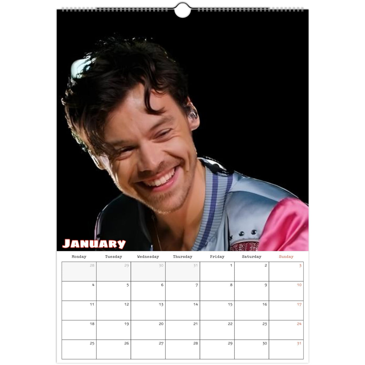 Harry Styles Calendar 2027 January photo