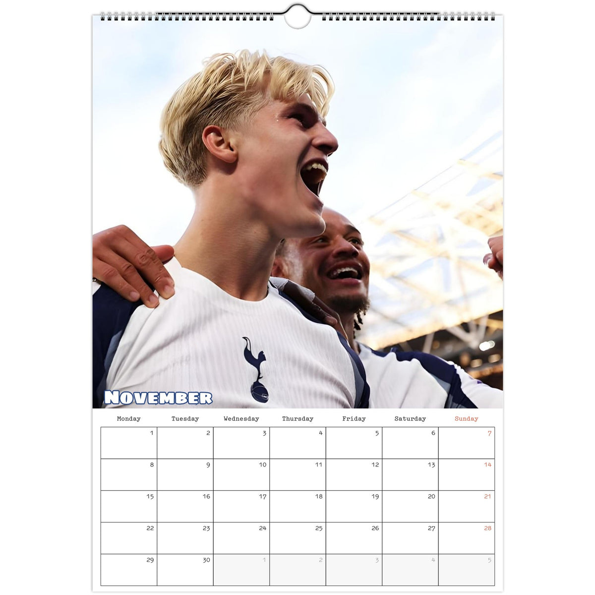 Tottenham calendar November photo