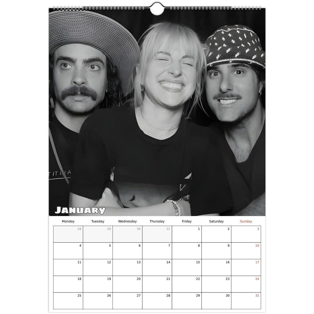 Paramore Calendar 2027 January photo