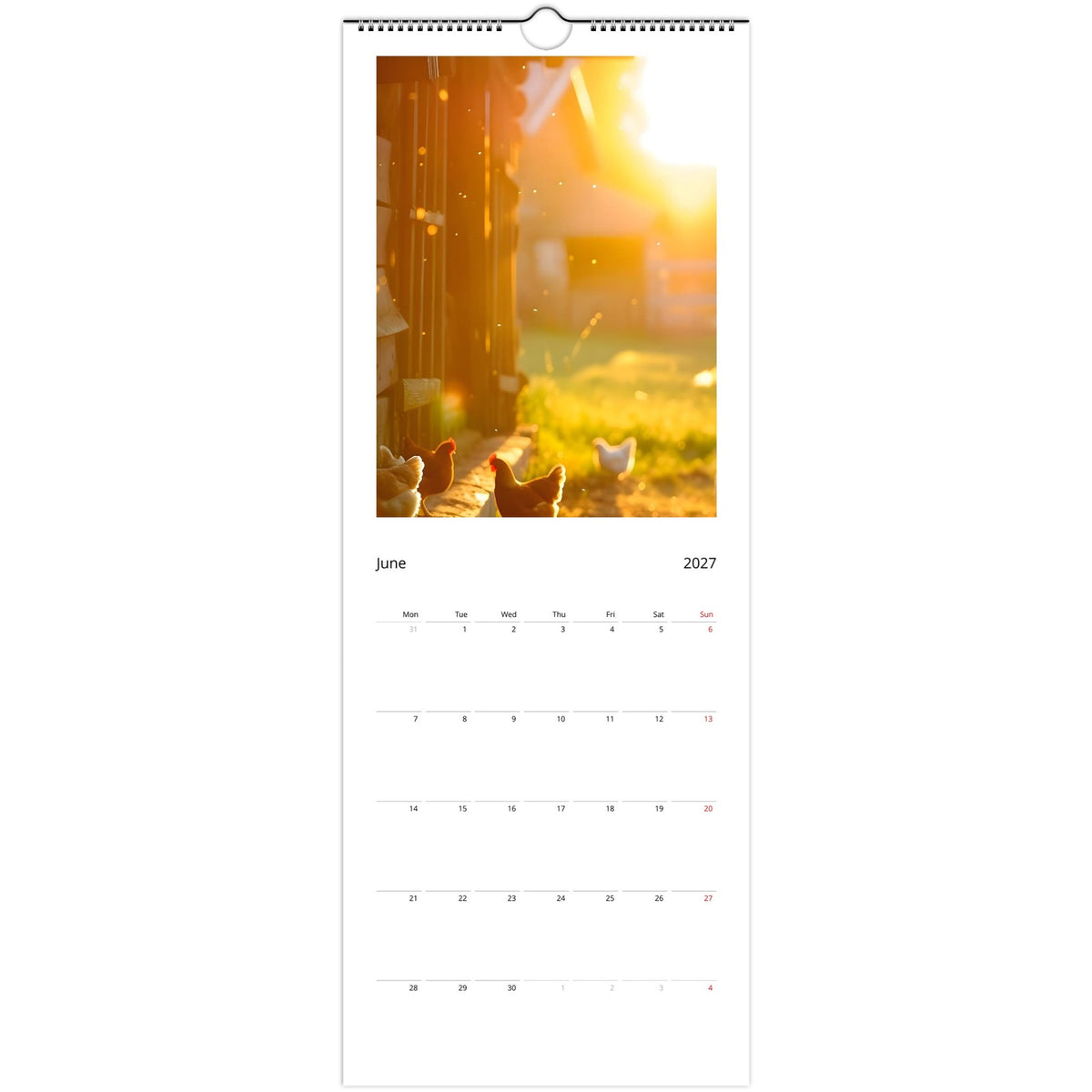 Off‑Grid Living 2027 calendar June photo