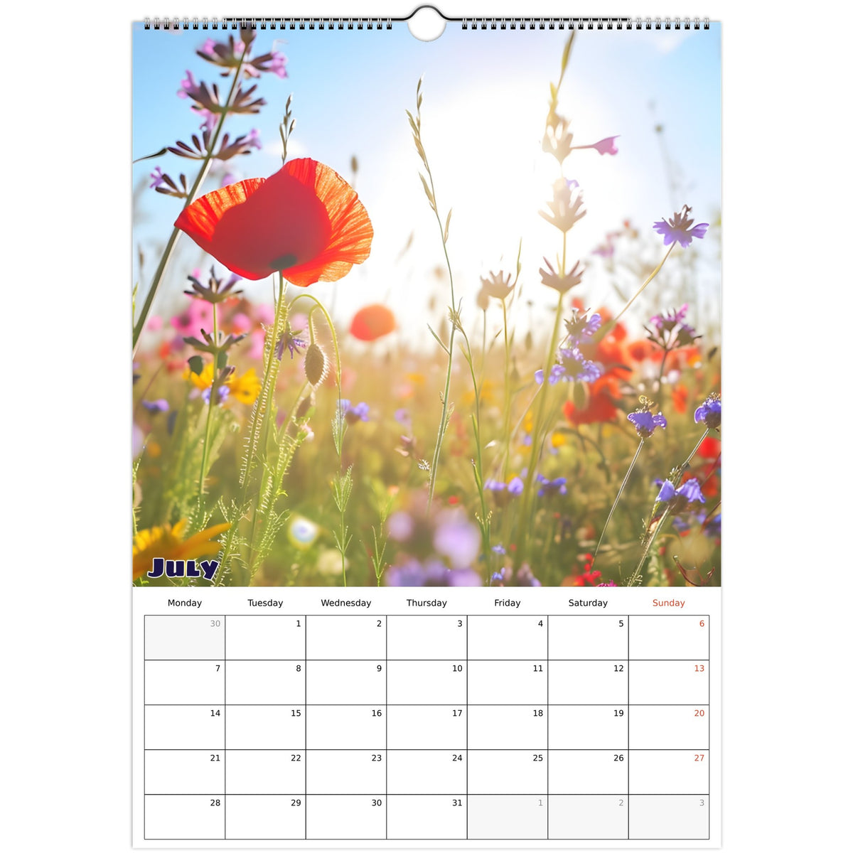 July nature scene 